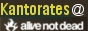 AnD