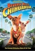 Beverly Hills Chihuahua