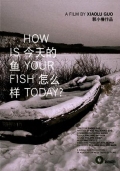 How is Your Fish Today?