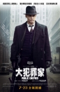 Public Enemies