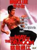 Way of the Dragon, The