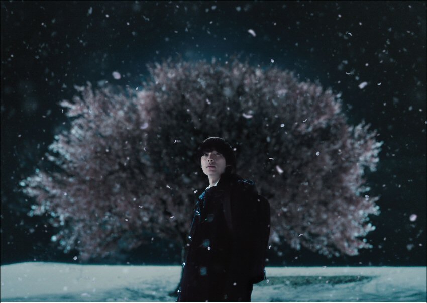 5 Centimeters Per Second