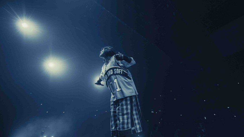 Billie Eilish - Hit Me Hard and Soft