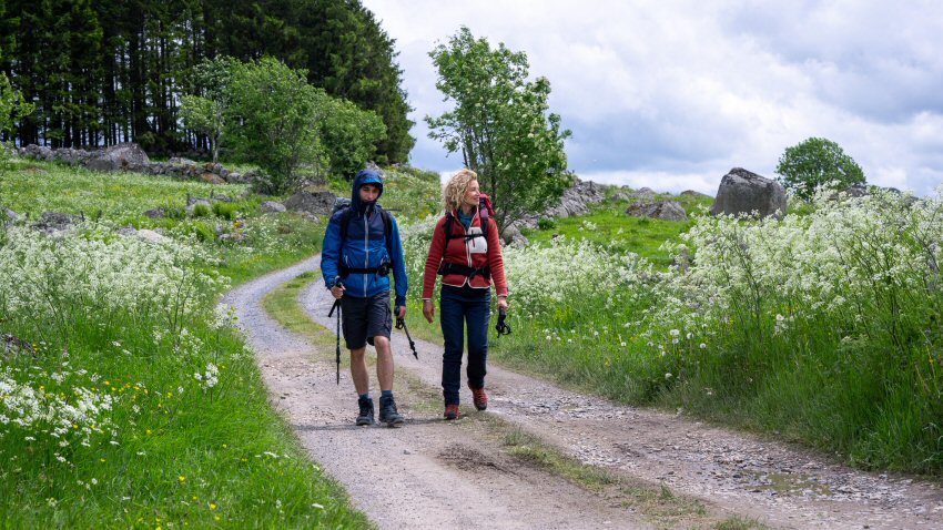 Santiago: The Camino Therapy