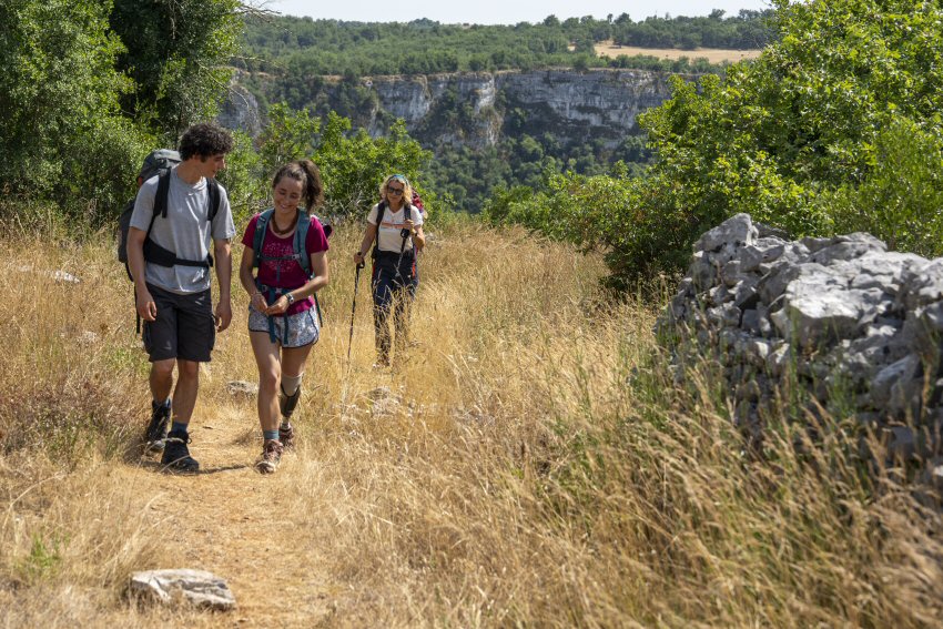 Santiago: The Camino Therapy